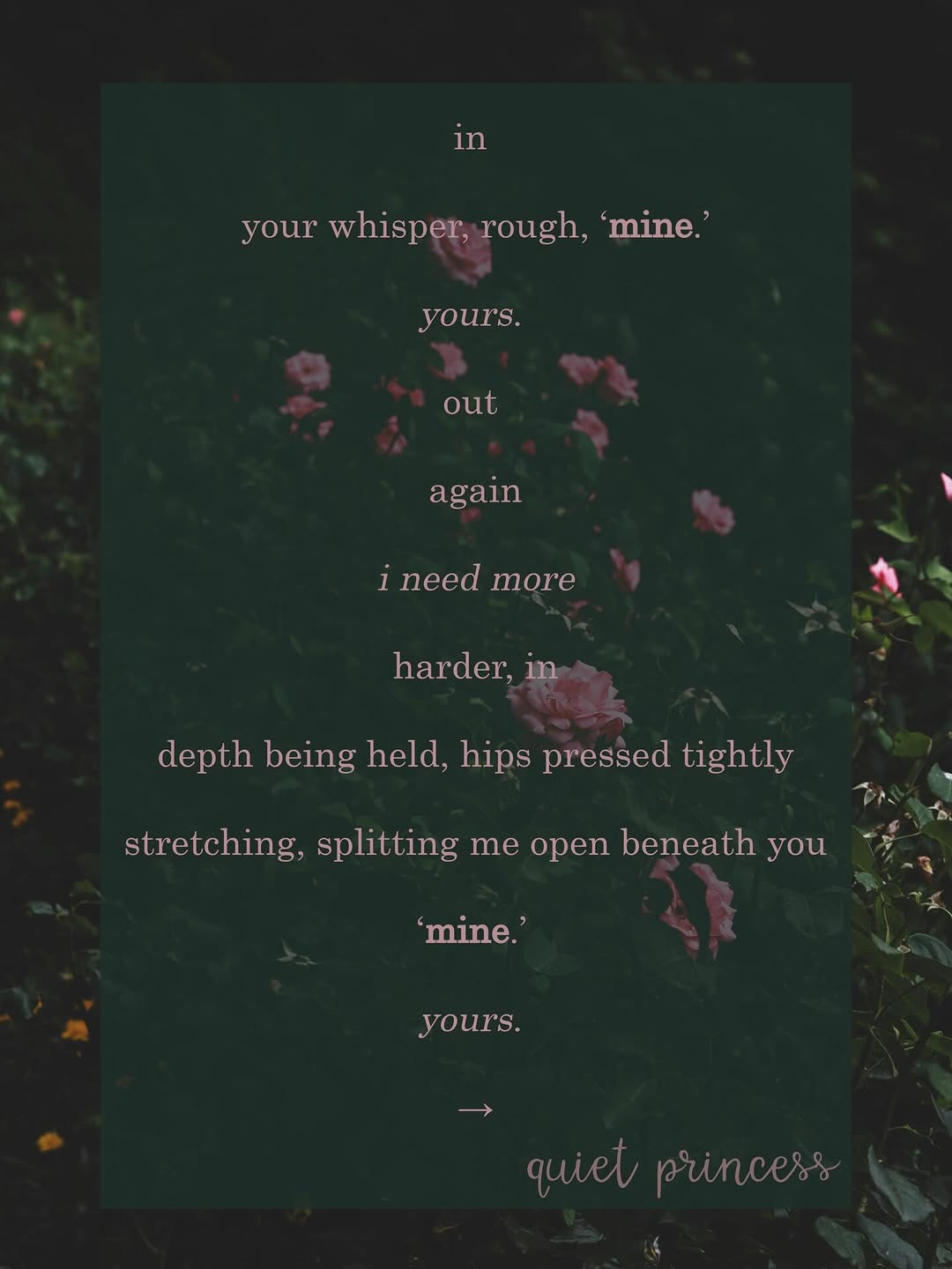 'Mine' — dark poetry by QuietPrincess